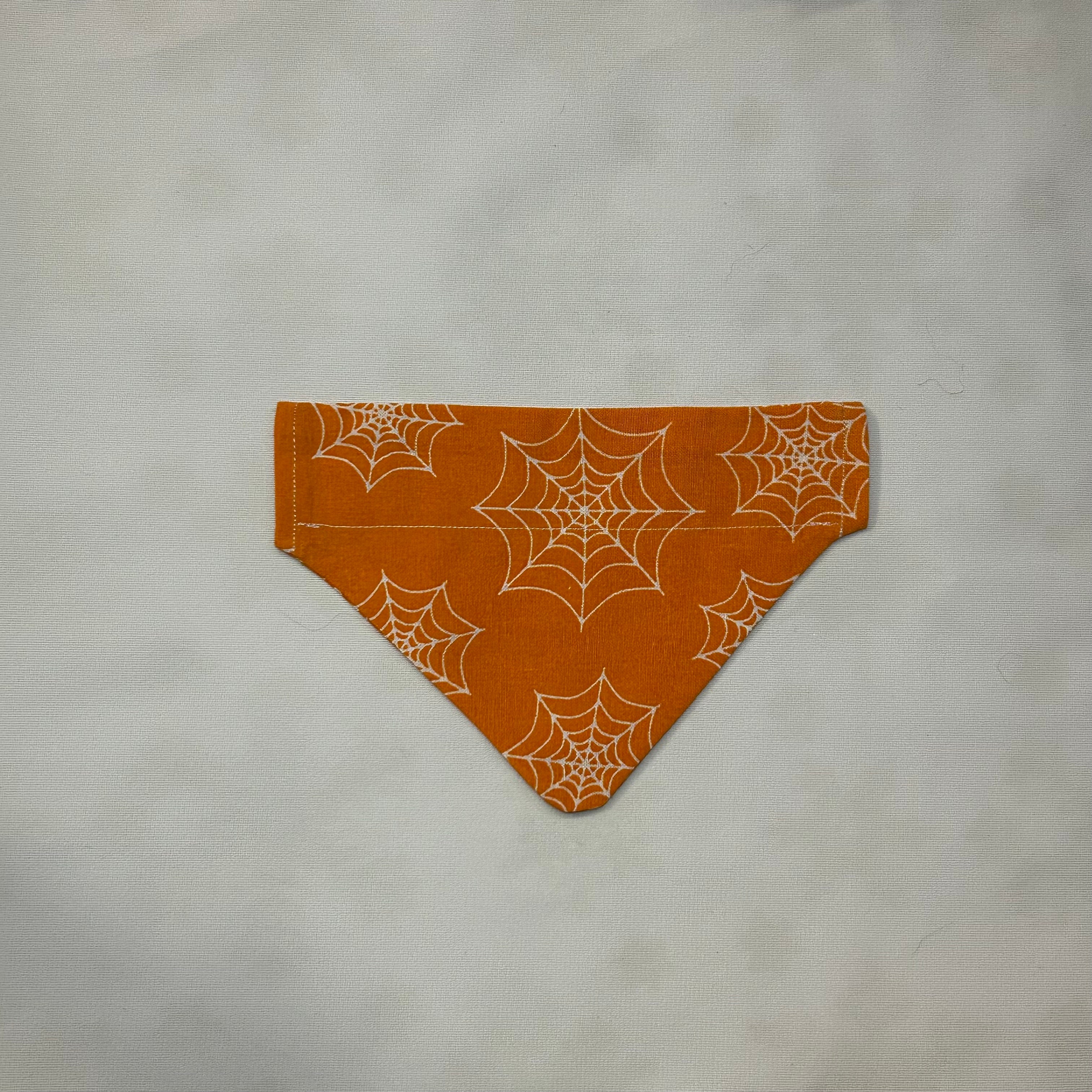 Orange & White Spiderwebs