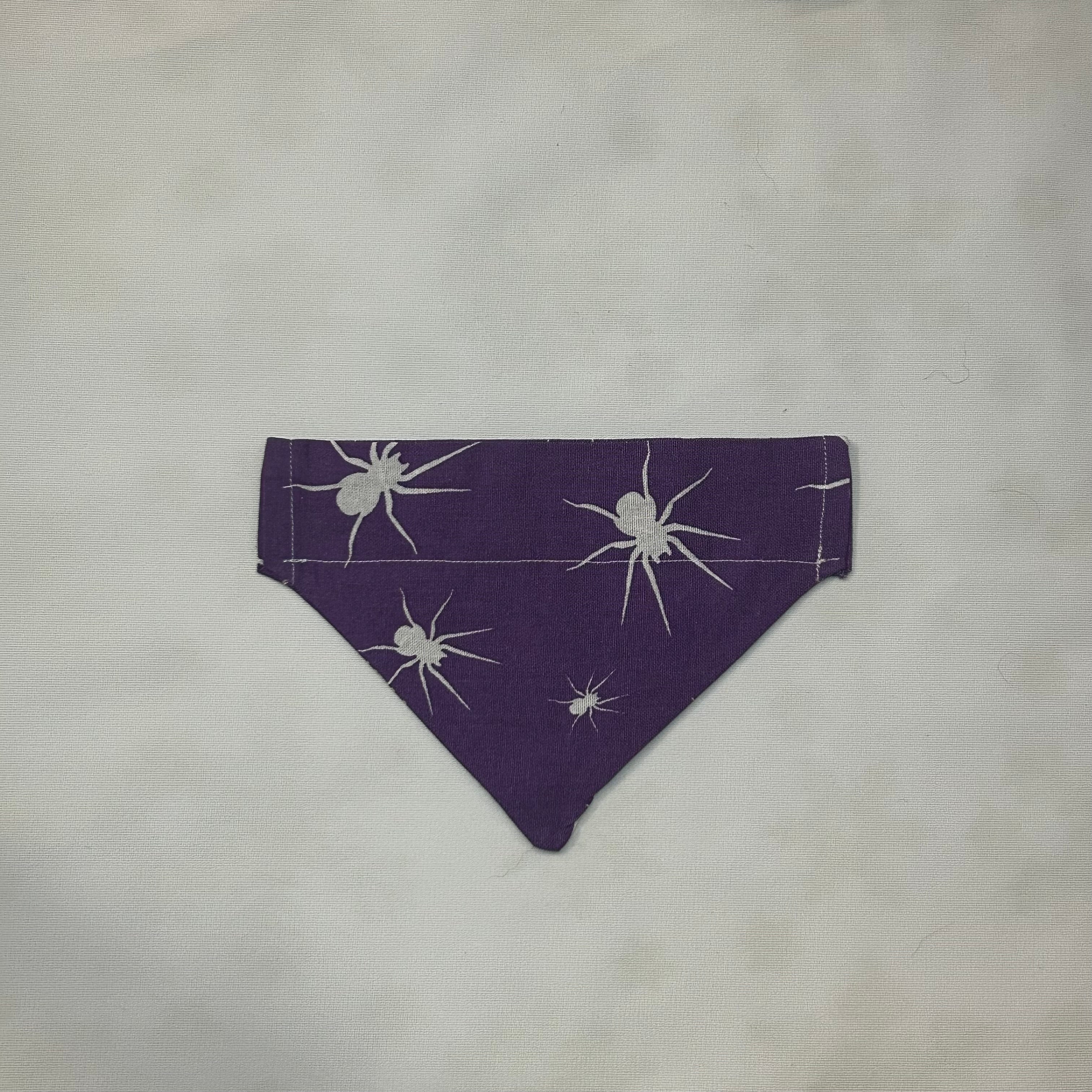 Purple & White Spiders